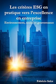 Les critères ESG en pratique vers l’excellence en entreprise: Environnement, social et gouvernance