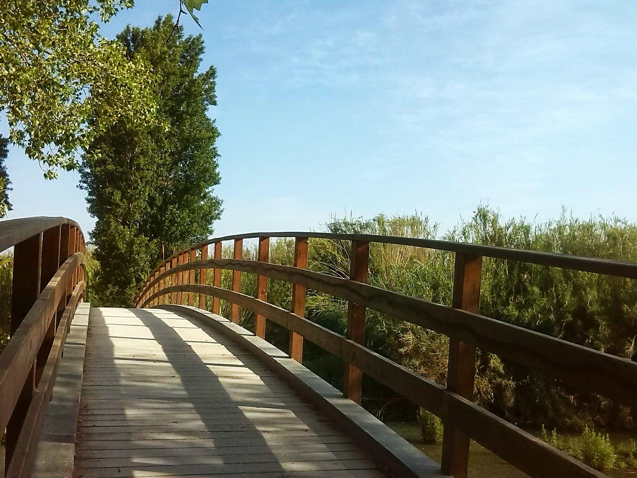 our-story bridge, tree, path, entrepreneurship, landscape, nature, park, spring, begin, entrepreneurship, entrepreneurship, entrepreneurship, entrepreneurship, entrepreneurship